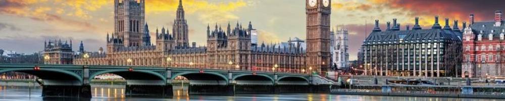 Policy and Public Affairs