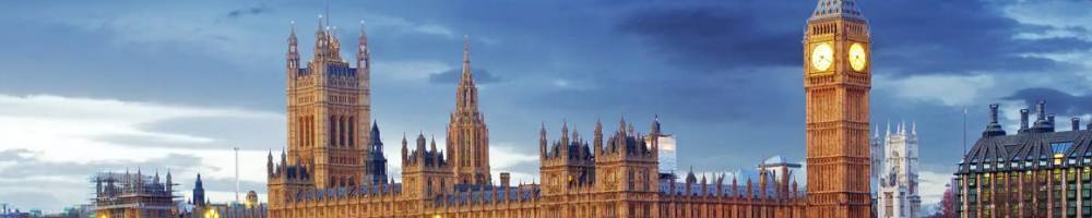 Consultation Responses and Briefings for Parliamentarians and Stakeholders