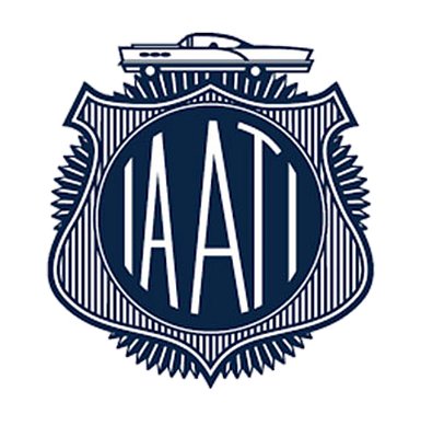IA of Auto Theft Investigators